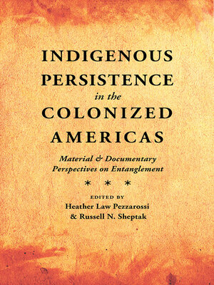 cover image of Indigenous Persistence in the Colonized Americas